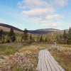 Pohjois-Suomi