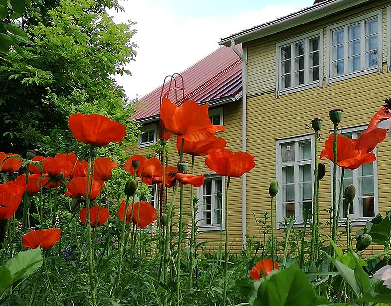 Sovintola - Kesälahti