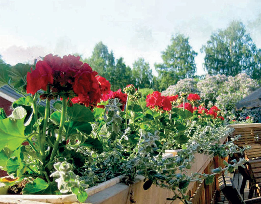 Pohjaslahti - Mänttä-Vilppula - Kylät - Pirkanmaa - Kylään.fi - Kylämatkailun tietopankki