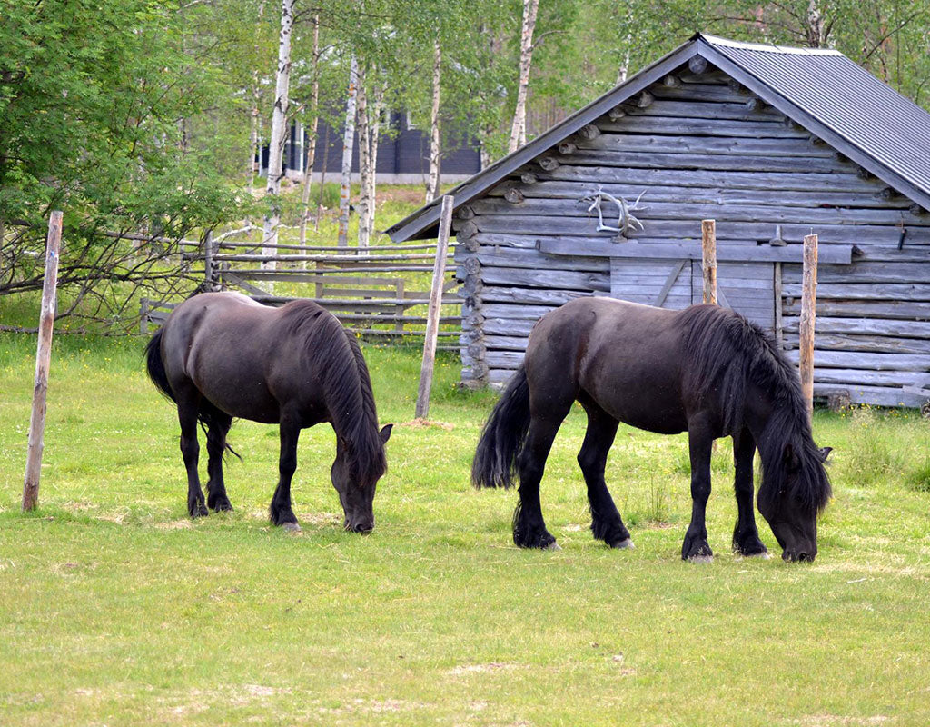 Kilkkilän Farmi - Iitti - Tekeminen ja toiminta - Kymenlaakso - Kylään.fi - Kylämatkailun tietopankki