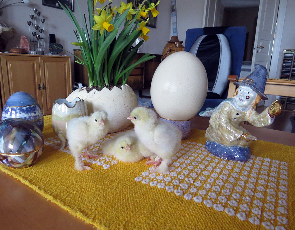 Kilkkilän Farmi - Iitti - Tekeminen ja toiminta - Kymenlaakso - Kylään.fi - Kylämatkailun tietopankki