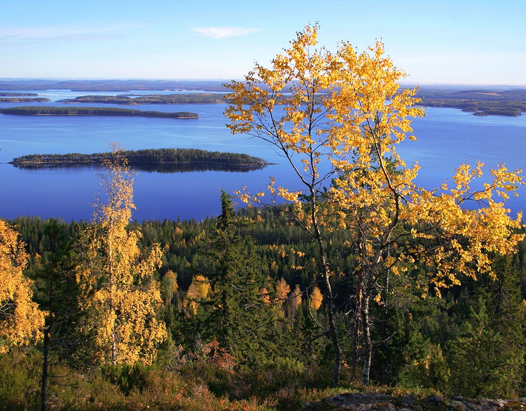 Koli - Lieksa - Kylät - Pohjois-Karjala - Kylään.fi - Kylämatkailun tietopankki