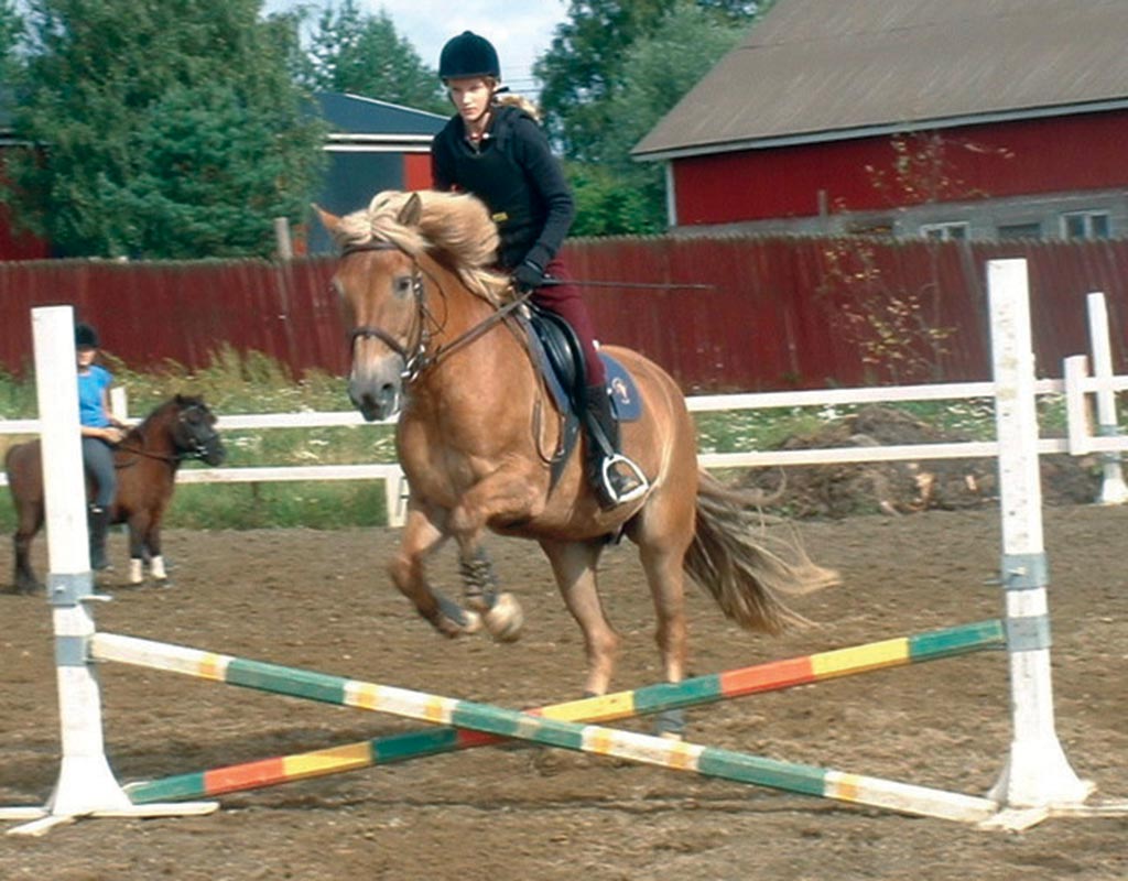 Metsäkansa - Valkeakoski - Kylät - Pirkanmaa - Kylään.fi - Kylämatkailun tietopankki