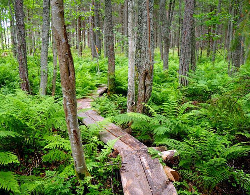 Pohjoisen Saimaan saaristo - Rääkkylä - Kylät - Pohjois-Karjala - Kylään.fi - Kylämatkailun tietopankki