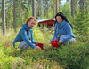 Loikansaaren Lomamökit - Savonlinna - Majoitus - Etelä-Savo - Kylään.fi - Kylämatkailun tietopankki