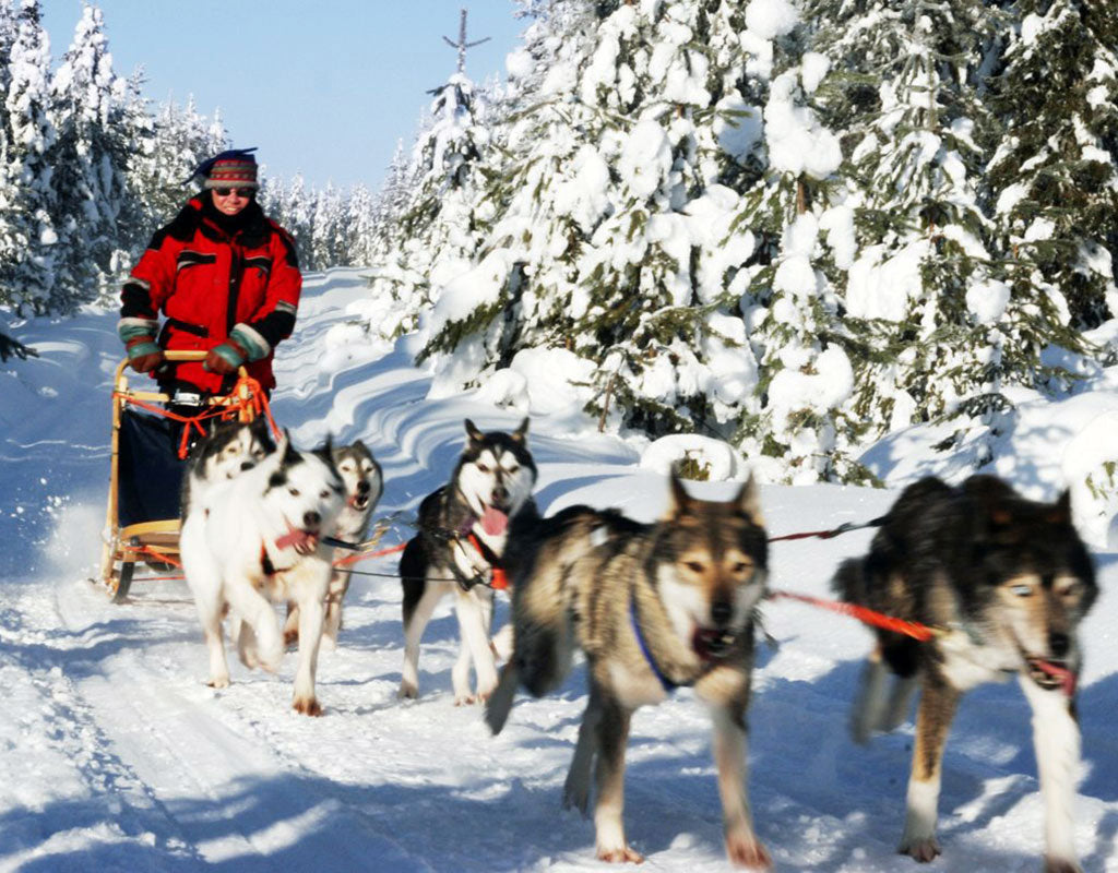 Saijan Lomakartano - Taivalkoski - Majoitus - Lappi - Kylään.fi - Kylämatkailun tietopankki