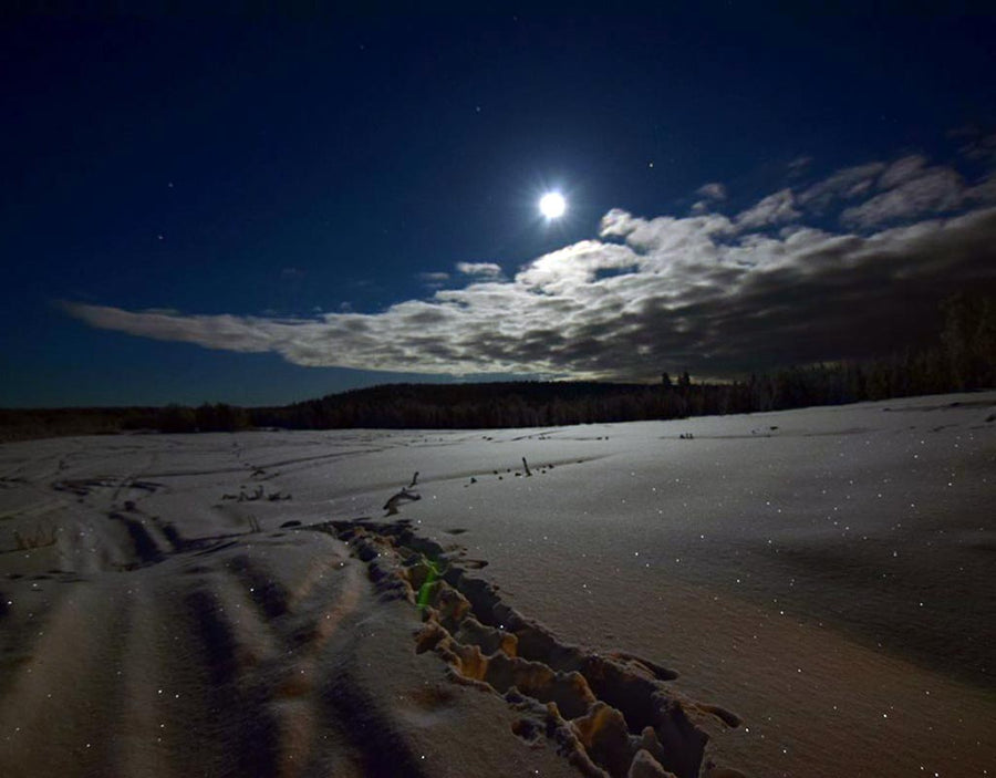 Arktinen Sirkkeli - Kittilä