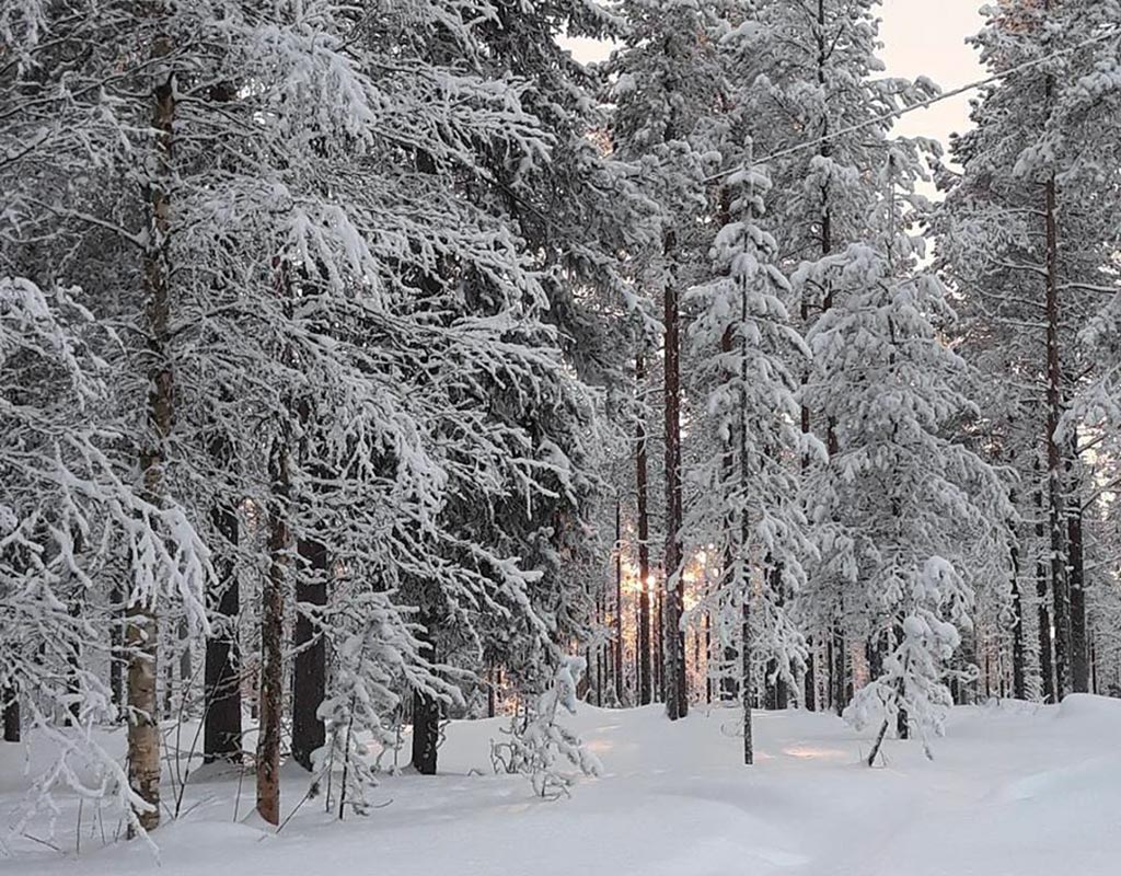Kursu - Salla - Kylät - Lappi - Kylään.fi - Kylämatkailun tietopankki