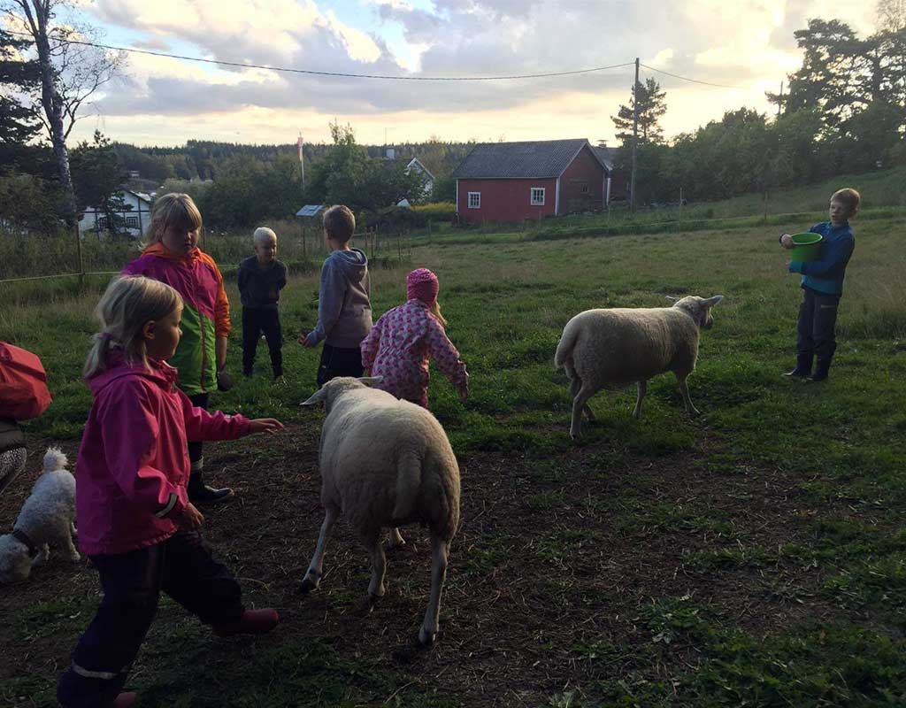 Karuna - Sauvo - Kylät - Varsinais-Suomi - Kylään.fi - Kylämatkailun tietopankki