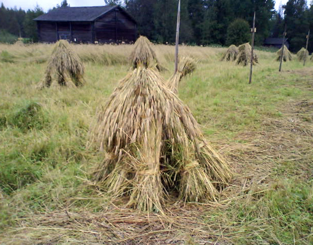 Riuttalan Talonpoikaismuseo - Kuopio - Nähtävyydet & Käyntikohteet - Pohjois-Savo - Kylään.fi - Kylämatkailun tietopankki
