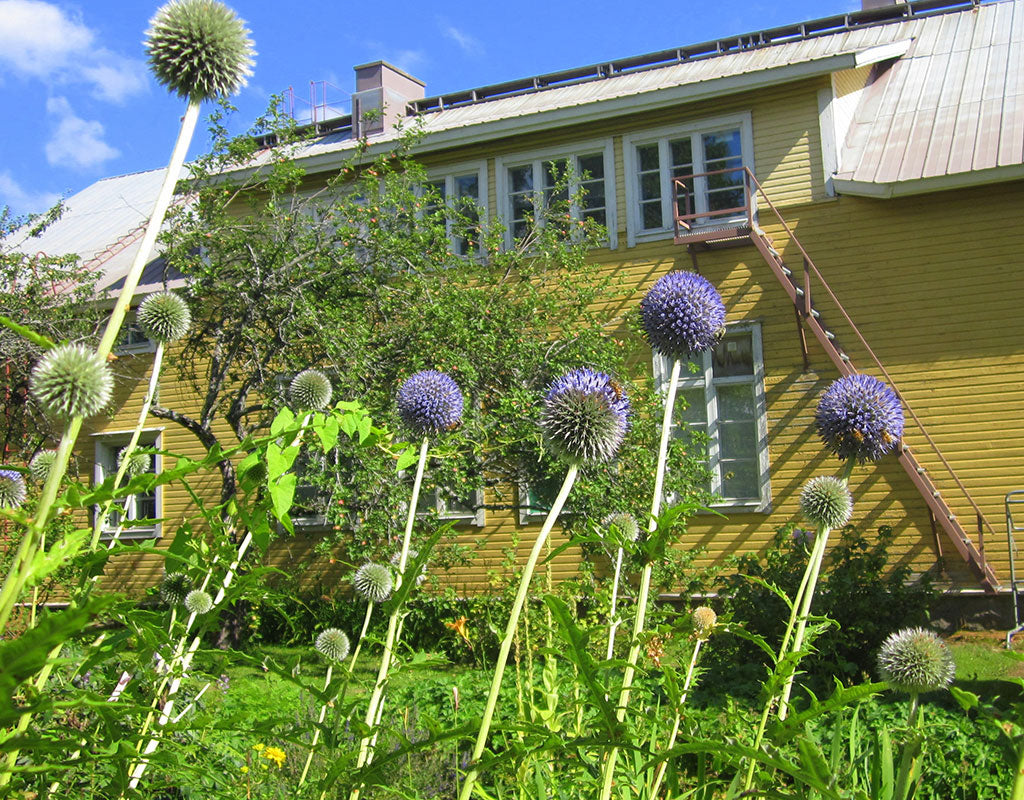 Sovintola - Kesälahti - Majoitus - Pohjois-Karjala - Kylään.fi - Kylämatkailun tietopankki