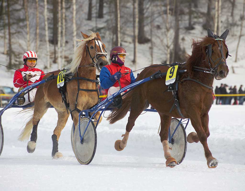 Leppävirta - Kylät - Pohjois-Savo - Kylään.fi - Kylämatkailun tietopankki