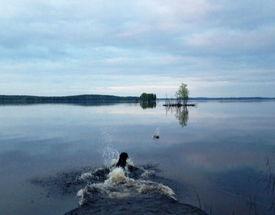 Paksuniemen Kesäkeidas - Rääkkylä - Majoitus - Pohjois-Karjala - Kylään.fi - Kylämatkailun tietopankki