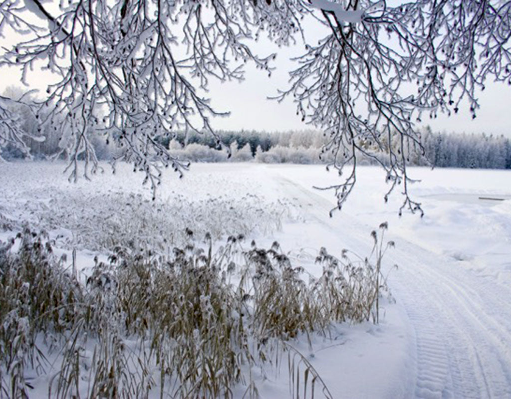 Sulkava - Kylät - Etelä-Savo - Kylään.fi - Kylämatkailun tietopankki