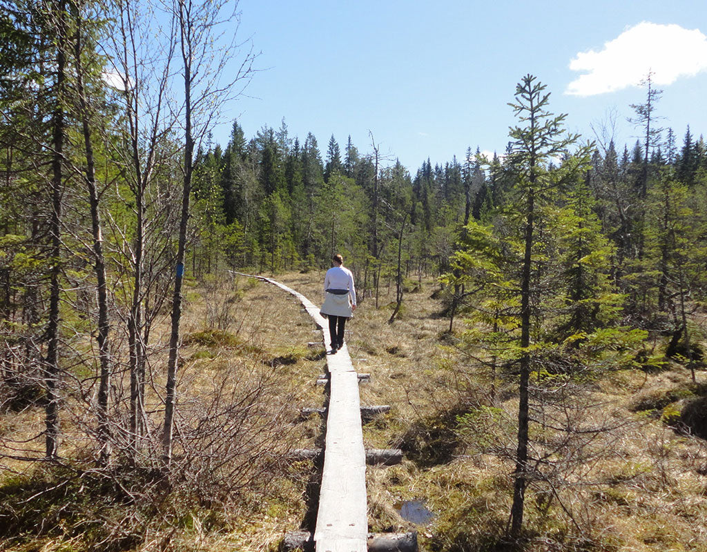 Koli Freetime - Juuka - Majoitus - Pohjois-Karjala - Kylään.fi - Kylämatkailun tietopankki