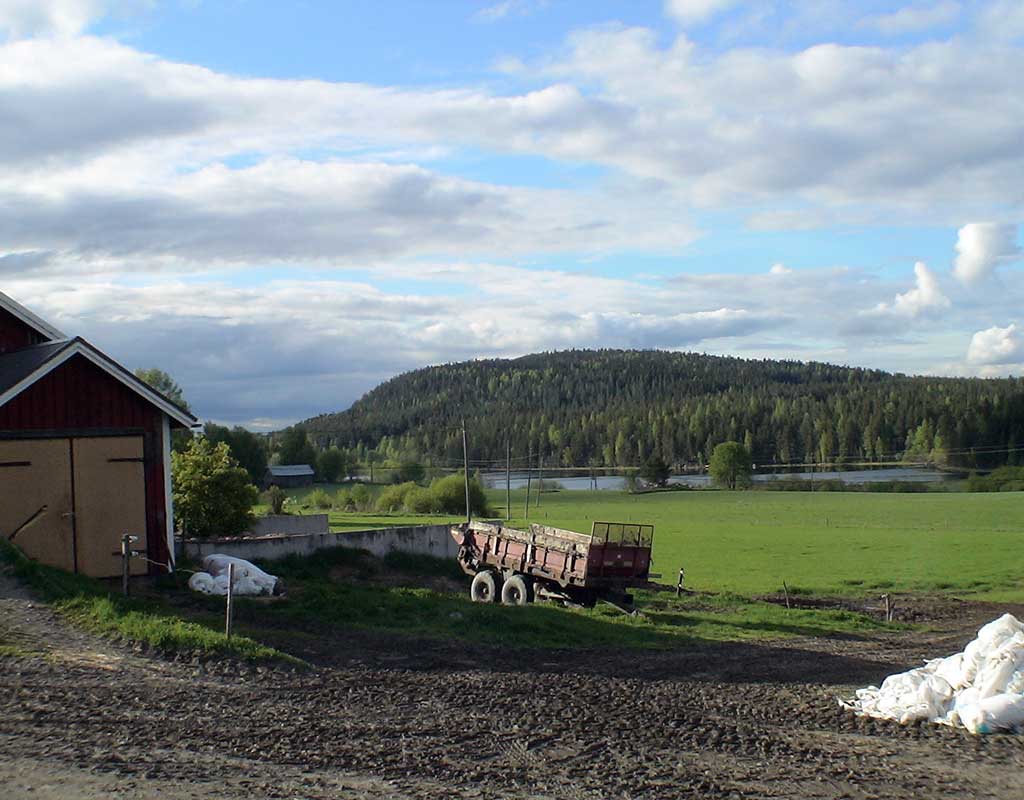 Hiltulanlahti - Kuopio - Kylät - Pohjois-Savo - Kylään.fi - Kylämatkailun tietopankki