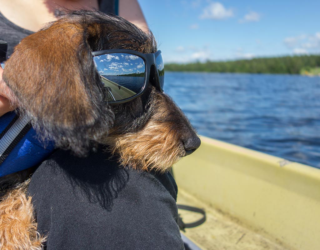 Tervo - Kylät - Pohjois-Savo - Kylään.fi - Kylämatkailun tietopankki