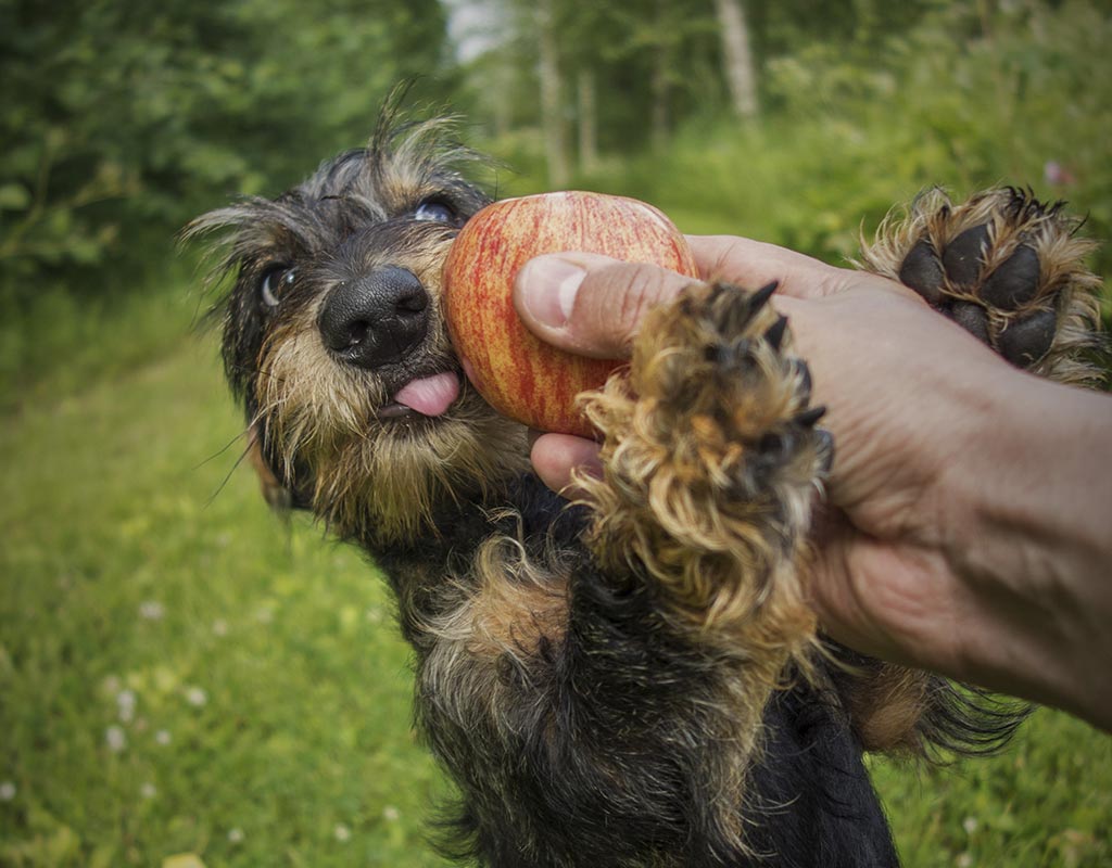 Tervo - Kylät - Pohjois-Savo - Kylään.fi - Kylämatkailun tietopankki