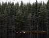 Leppälahti - Liperi - Kylät - Pohjois-Karjala - Kylään.fi - Kylämatkailun tietopankki
