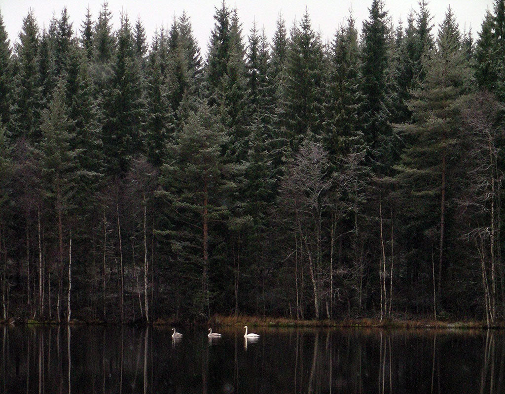 Leppälahti - Liperi - Kylät - Pohjois-Karjala - Kylään.fi - Kylämatkailun tietopankki