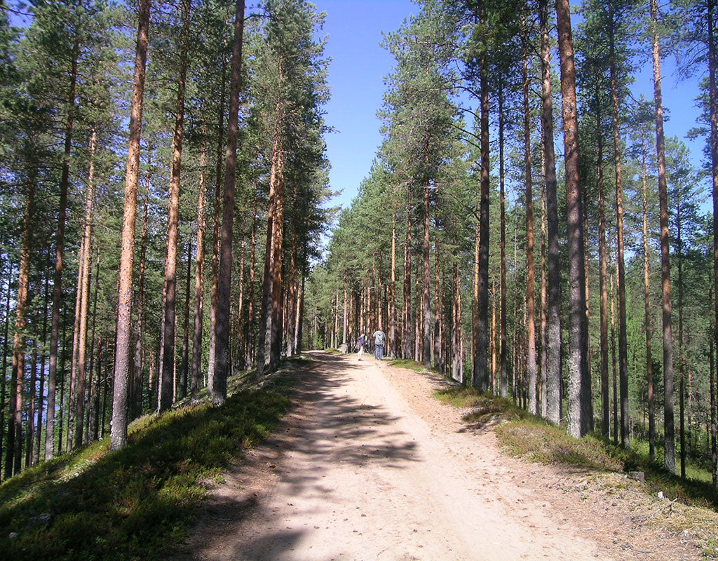 Kinahmo - Polvijärvi - Kylät - Pohjois-Karjala - Kylään.fi - Kylämatkailun tietopankki
