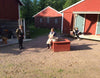 Tarvasjoen Nuorisoseura - Tarvasjoki - Tapahtumat & Teatterit - Varsinais-Suomi - Kylään.fi - Kylämatkailun tietopankki