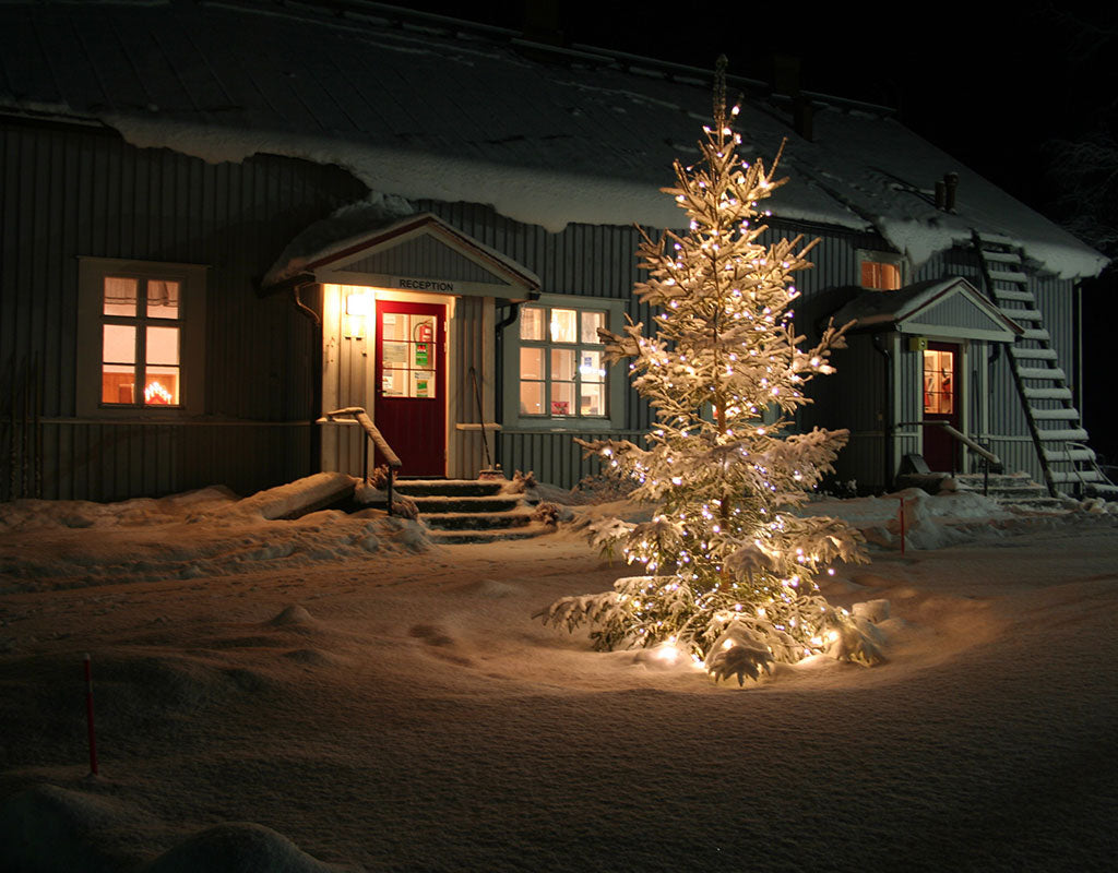 Koli Freetime - Juuka - Majoitus - Pohjois-Karjala - Kylään.fi - Kylämatkailun tietopankki