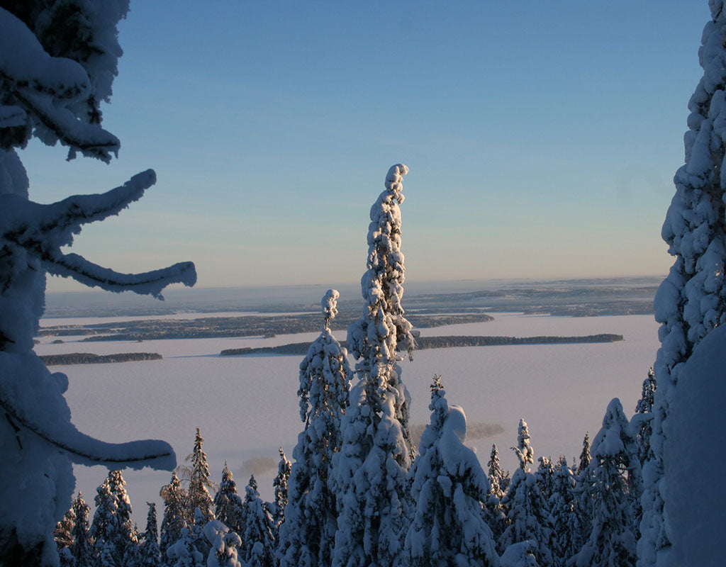 Koli Freetime - Juuka - Majoitus - Pohjois-Karjala - Kylään.fi - Kylämatkailun tietopankki