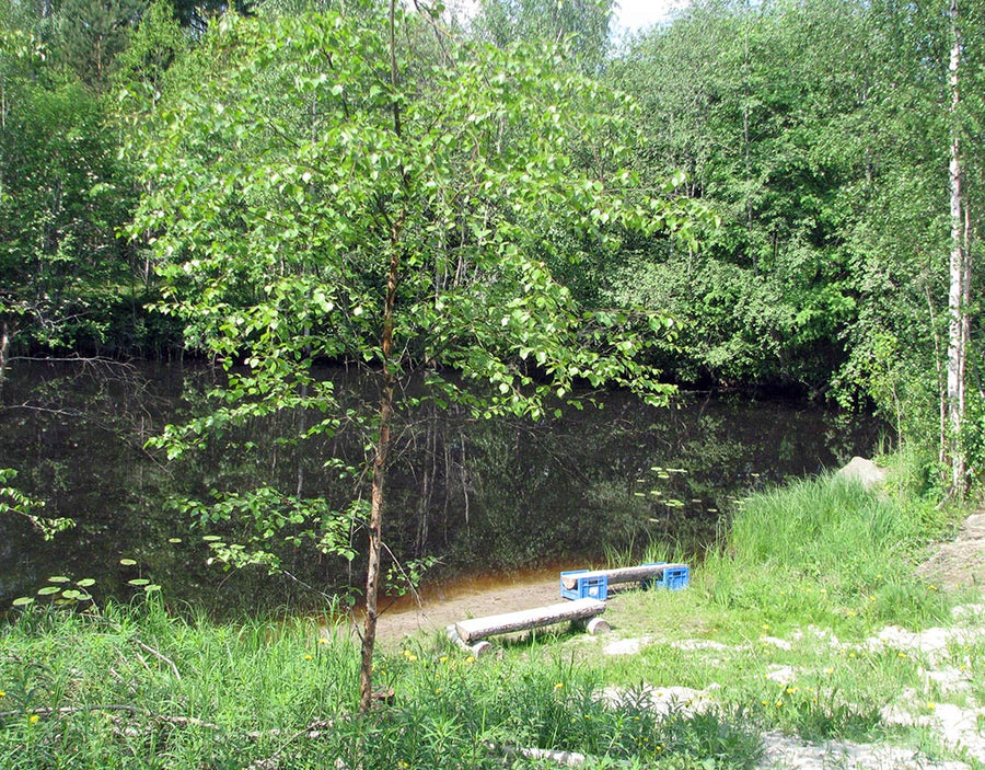 Kihniä - Seinäjoki - Kylät - Etelä-Pohjanmaa - Kylään.fi - Kylämatkailun tietopankki