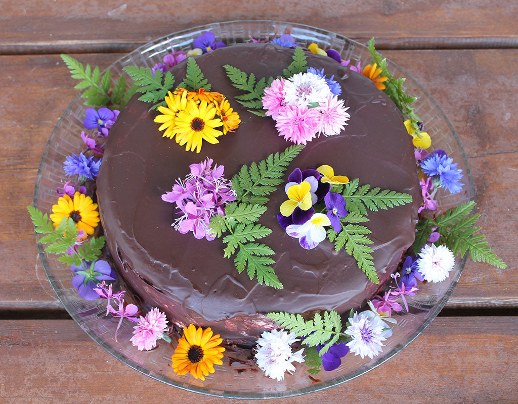 Majatalo Puukarin Pysäkki - Valtimo - Majoitus - Pohjois-Karjala - Kylään.fi - Kylämatkailun tietopankki