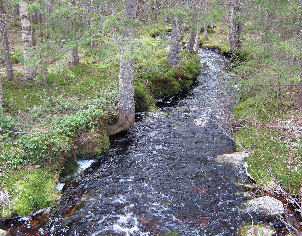 Sivakka - Valtimo - Kylät - Pohjois-Karjala - Kylään.fi - Kylämatkailun tietopankki