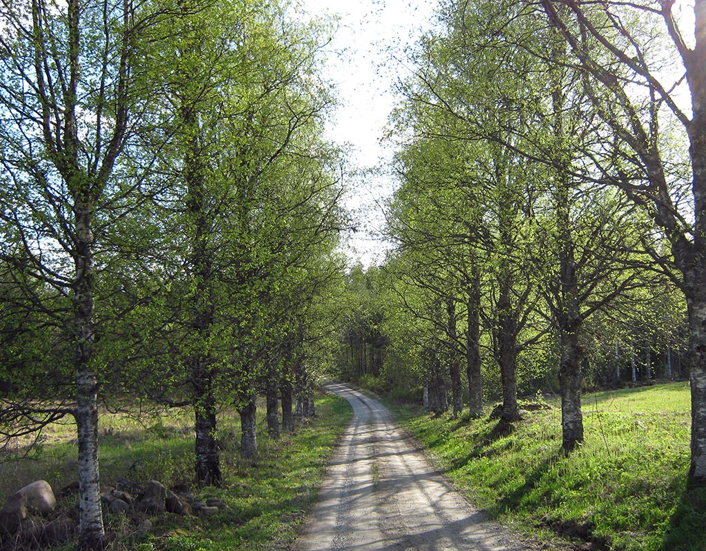 Sivakka - Valtimo - Kylät - Pohjois-Karjala - Kylään.fi - Kylämatkailun tietopankki