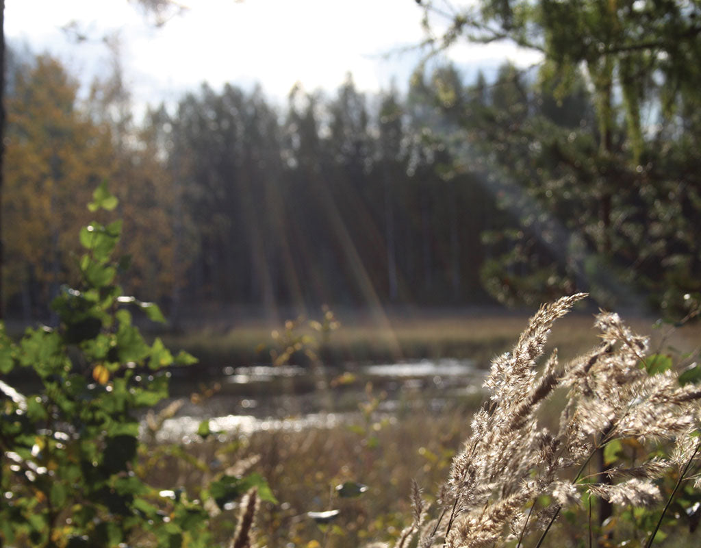 Peräseinäjoki - Seinäjoki - Kylät - Etelä-Pohjanmaa - Kylään.fi - Kylämatkailun tietopankki