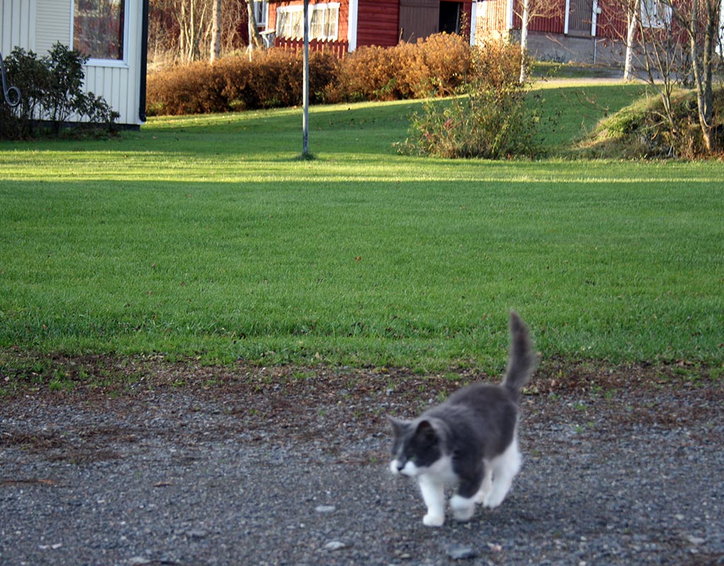 Ypäjä - Kylät - Kylään.fi - Kylämatkailun tietopankki - Kylään.fi - Kylämatkailun tietopankki