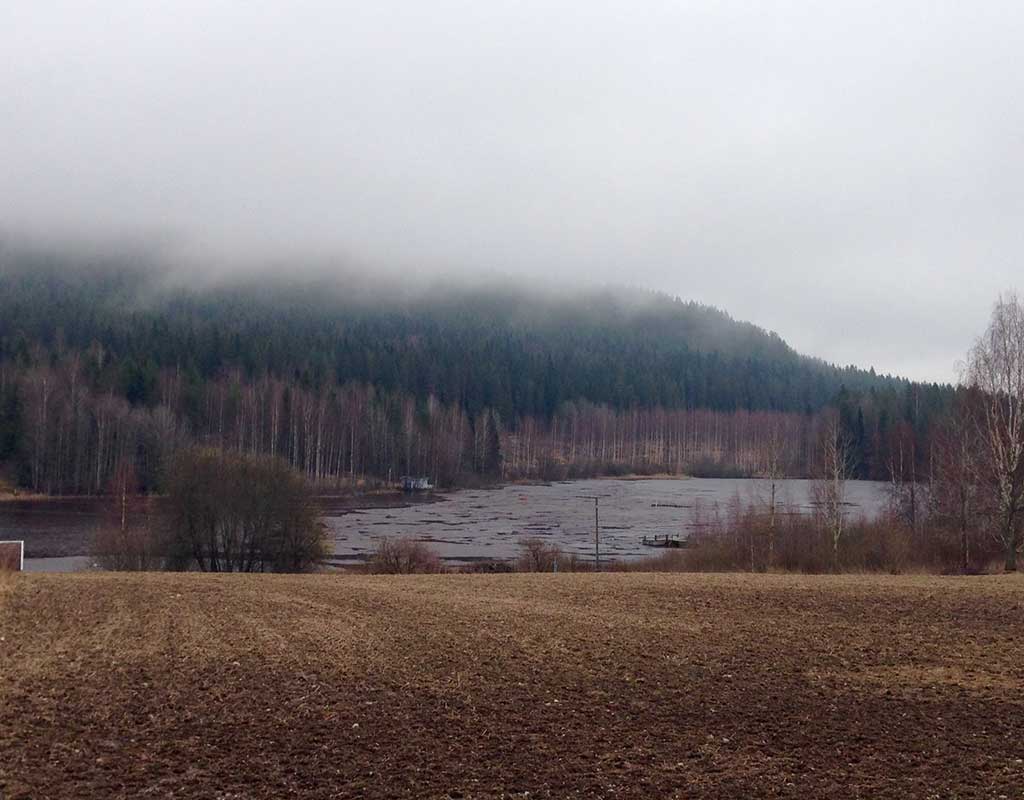 Hiltulanlahti - Kuopio - Kylät - Pohjois-Savo - Kylään.fi - Kylämatkailun tietopankki
