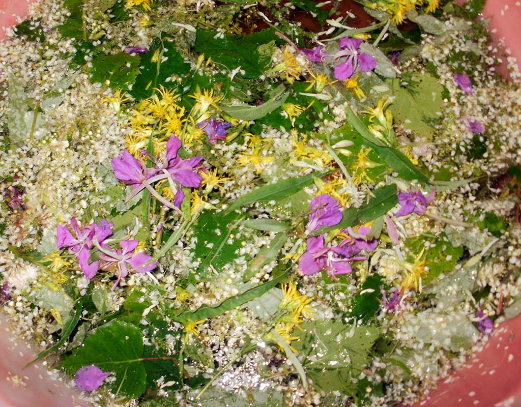 Kiiminkijoki - Oulu - Kylät - Pohjois-Pohjanmaa - Kylään.fi - Kylämatkailun tietopankki