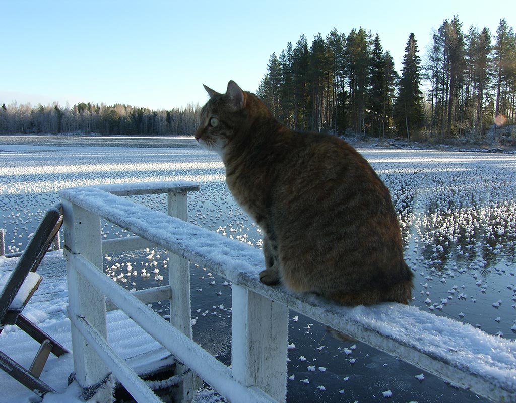 Saarela - Pielavesi - Kylät - Pohjois-Savo - Kylään.fi - Kylämatkailun tietopankki