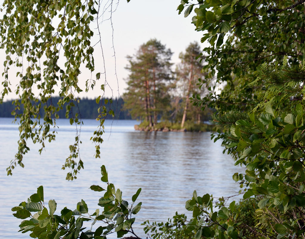 Leppälahti - Liperi - Kylät - Pohjois-Karjala - Kylään.fi - Kylämatkailun tietopankki