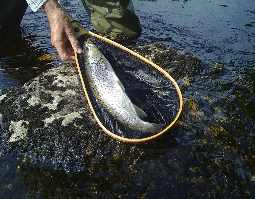 Kuhmo - Kylät - Kainuu - Kylään.fi - Kylämatkailun tietopankki