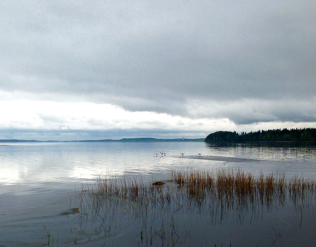 Paksuniemen Kesäkeidas - Rääkkylä - Majoitus - Pohjois-Karjala - Kylään.fi - Kylämatkailun tietopankki