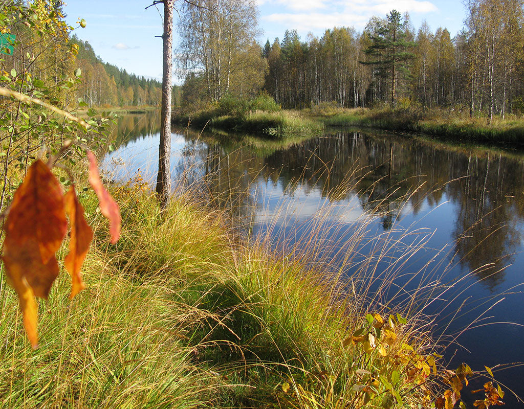 Kaavi - Kylät - Pohjois-Savo - Kylään.fi - Kylämatkailun tietopankki