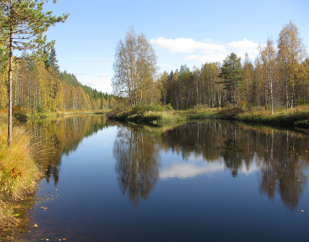 Kaavi - Kylät - Pohjois-Savo - Kylään.fi - Kylämatkailun tietopankki