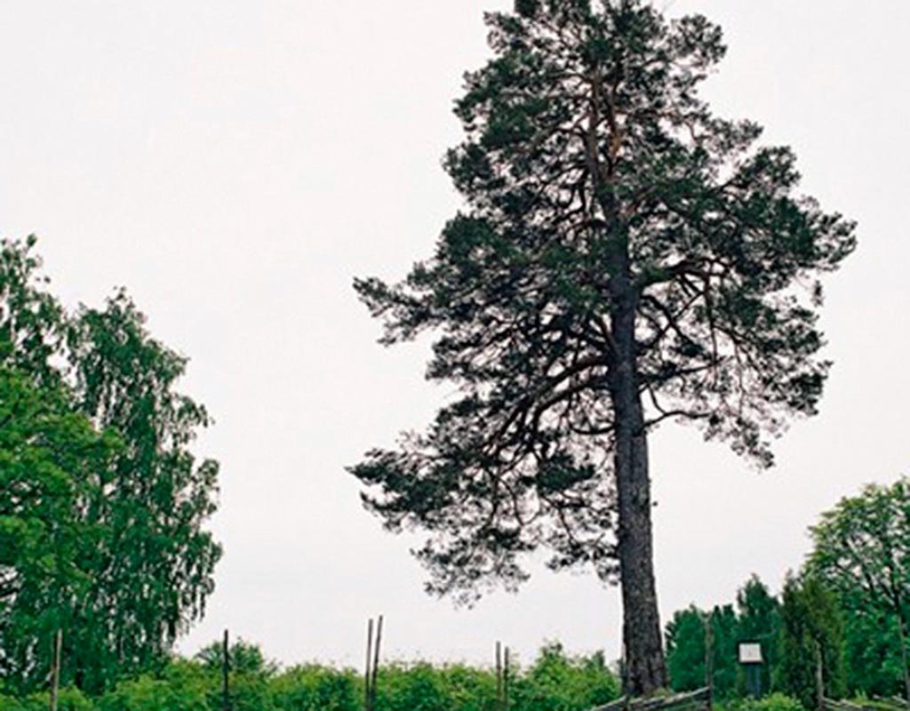 Kesälahti - Kylät - Pohjois-Karjala - Kylään.fi - Kylämatkailun tietopankki