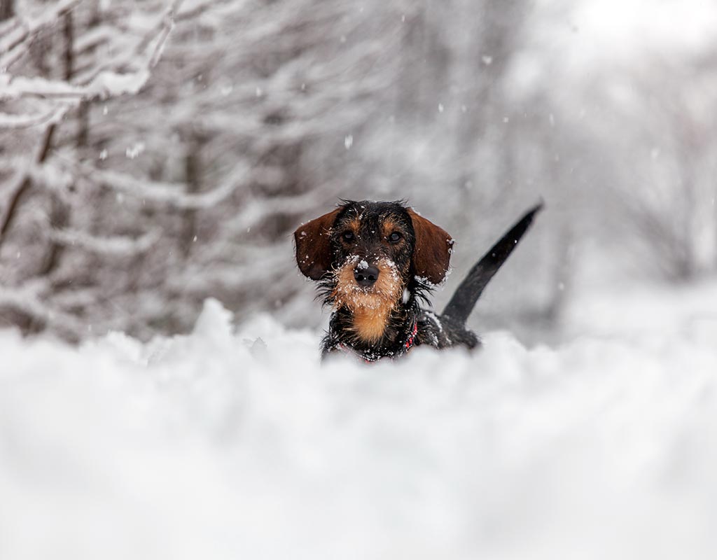 Tervo - Kylät - Pohjois-Savo - Kylään.fi - Kylämatkailun tietopankki