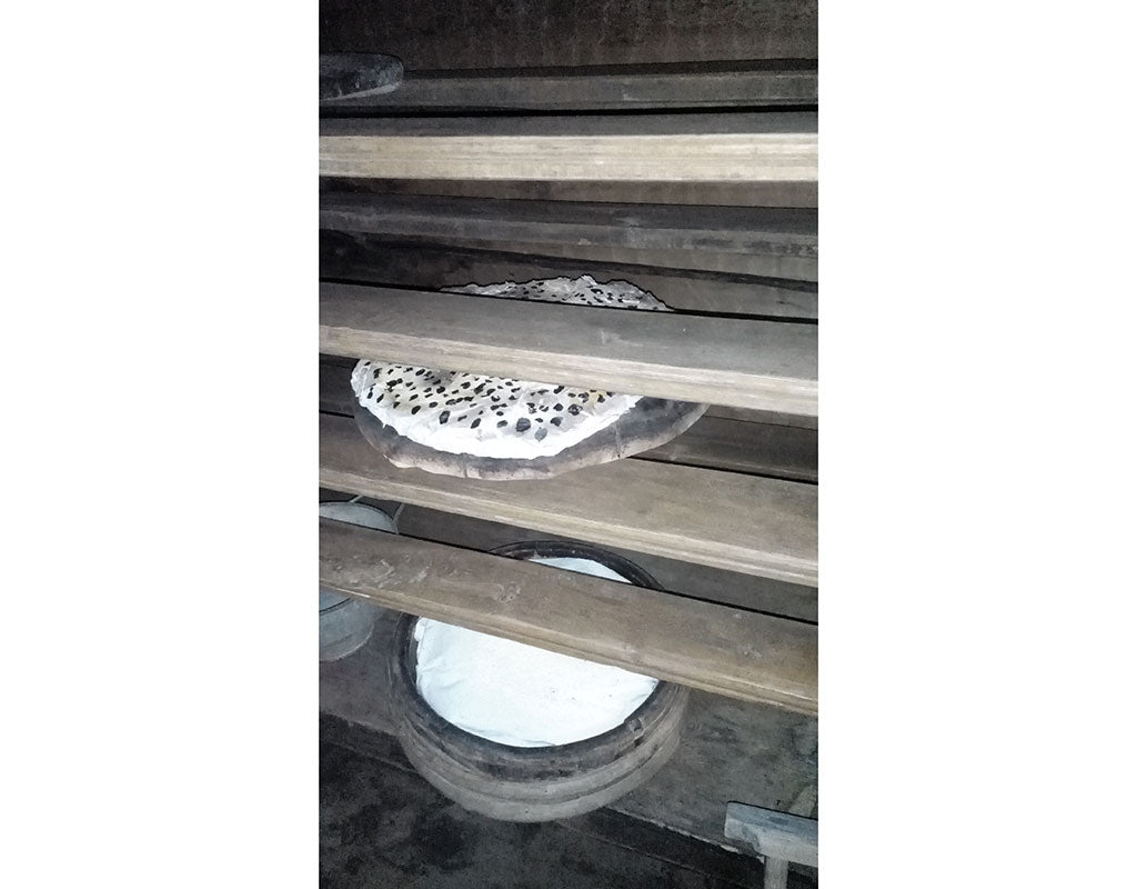 Vene-Aapon Venehuone - Kittilä