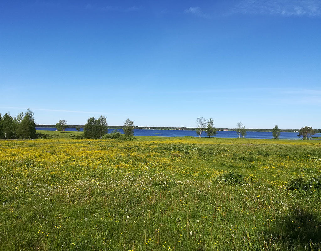 Kuusaa-Jokela - Tulppo - Kylät - Pohjois-Pohjanmaa - Kylään.fi - Kylämatkailun tietopankki