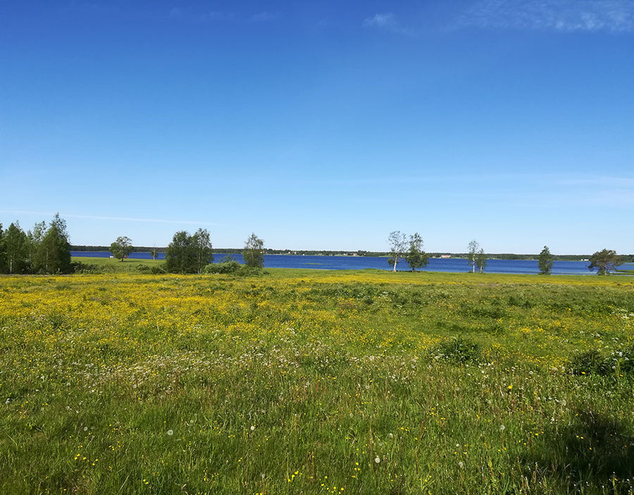 Kuusaa-Jokela - Tulppo - Kylät - Pohjois-Pohjanmaa - Kylään.fi - Kylämatkailun tietopankki