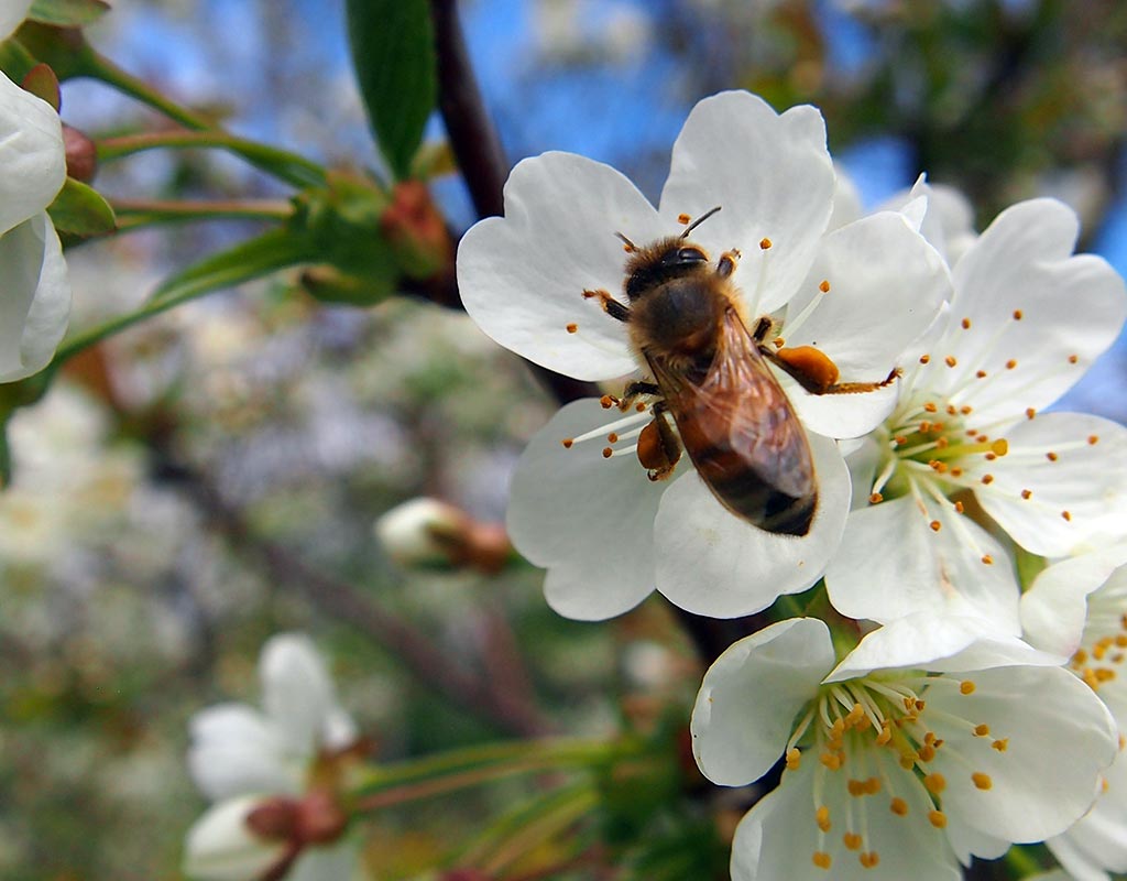Lohjan Saaristo - Lohja - Kylät - Uusimaa - Kylään.fi - Kylämatkailun tietopankki