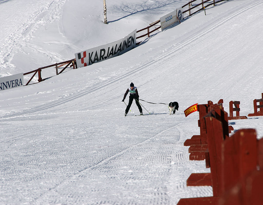 Pärnävaaran urheilukeskus - Ylämylly - Tekeminen ja toiminta - Pohjois-Karjala - Kylään.fi - Kylämatkailun tietopankki