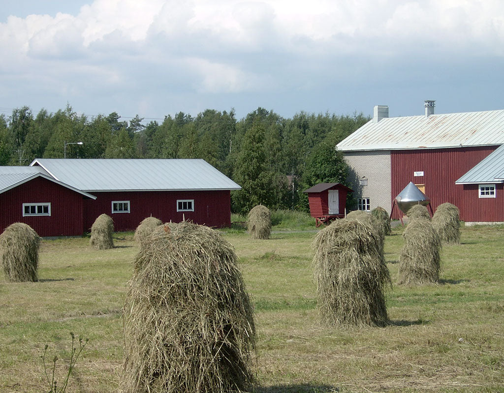 Penttilän museoalue - Liperi - Nähtävyydet & Käyntikohteet - Pohjois-Karjala - Kylään.fi - Kylämatkailun tietopankki